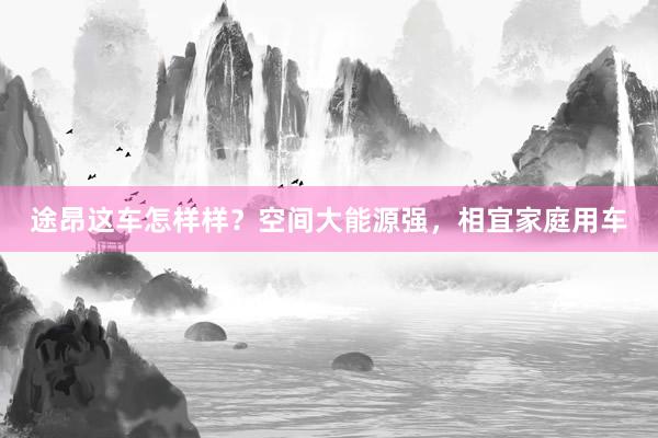 途昂这车怎样样？空间大能源强，相宜家庭用车